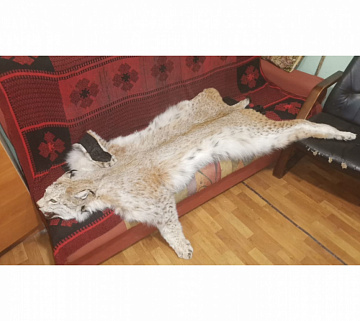Ковер из рыси 140 см с когтями Фото Ковер из рыси 140 см с когтями
