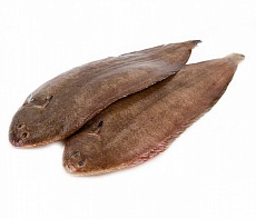 Морской язык дикий замороженный не потрошенный